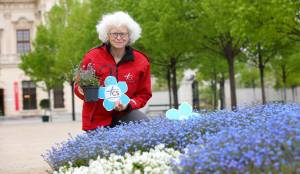 Testamentsspenden helfen CS Hospiz Wien – Gedenken rund um Allerheiligen