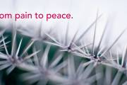 From pain to peace – Neue Kampagne für CS Hospiz Rennweg von Walther Salvenmoser (✝ 17.2.2018)