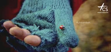 Kampagne: Achtsamkeit Marienkäfer auf einem Daumen der in einem mint-farbenen Handschuh steckt.