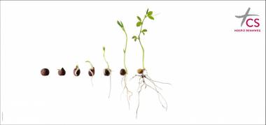 Kampagne: Mehr Raum zum Leben